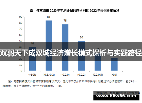 双羽天下成双城经济增长模式探析与实践路径