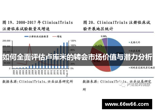 如何全面评估卢库米的转会市场价值与潜力分析